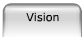 Vision